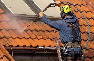 Démoussage et hydrofuge de toiture à Fréchède